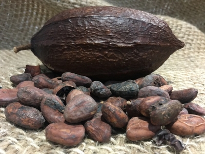 Online-Programm: Kakao