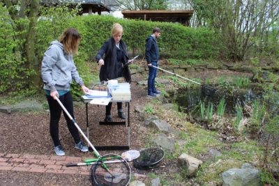 Wasser erfahren und erleben (Kl. 1 – 2)