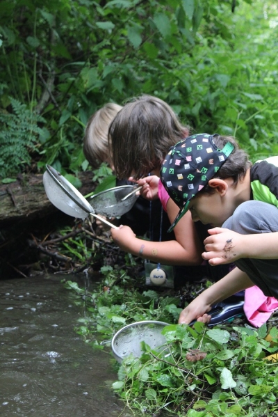 Von Möhnewasser, Trinkwasser und Abwasser: Tümpeluntersuchung (Kl. 5 – 7)