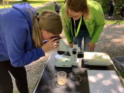 Das Leben im Wassertropfen (Kl. 8 – 10)