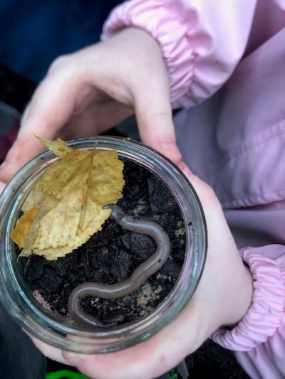 Willi der Regenwurm (Kl. 1 – 2)