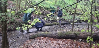 Hightech im Wald - Bionik (Klasse 1 - 4)