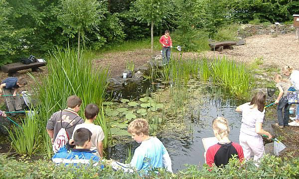 Eine Gruppe Schüler*innen fischen mit Keschern im Teich des Liz-Außengeländes