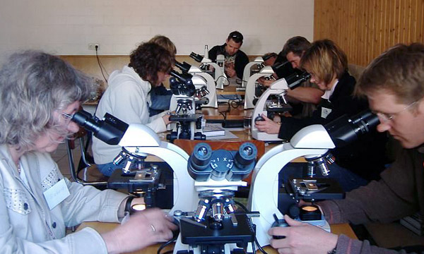 Eine Gruppe Erwachsener untersuchen Plankton mit Mikroskopen